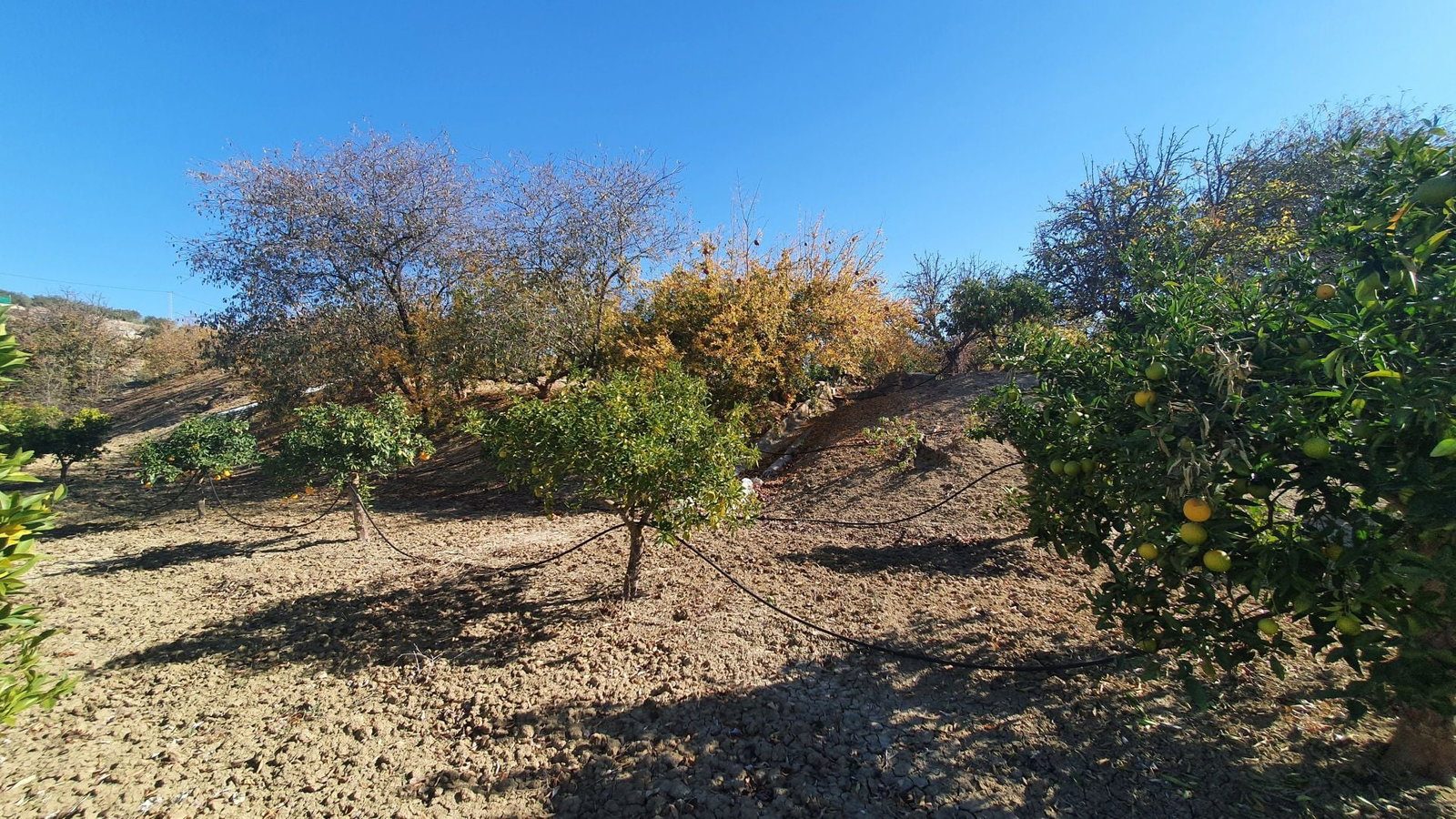 Photo 5 of Property in Alhaurin El Grande
