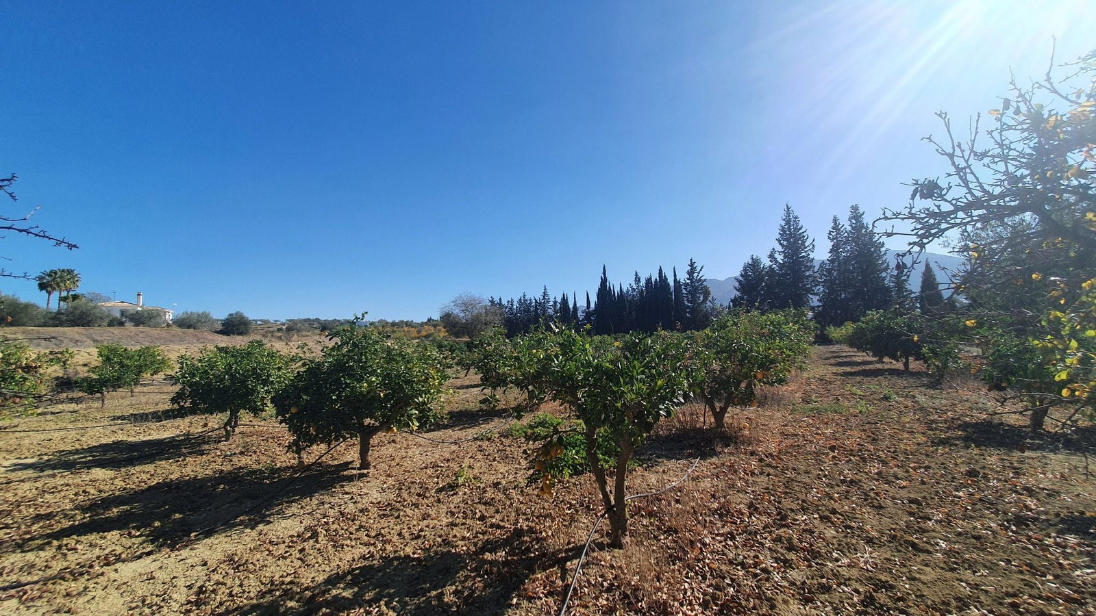 Photo 9 of Property in Alhaurin El Grande