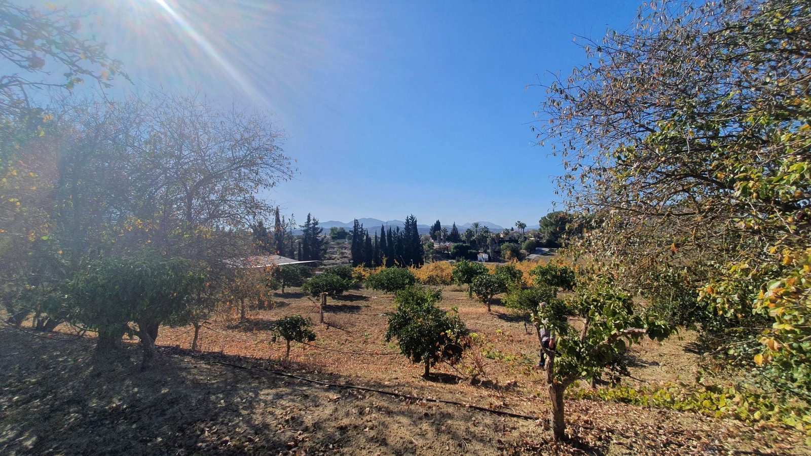 Photo 8 of Property in Alhaurin El Grande