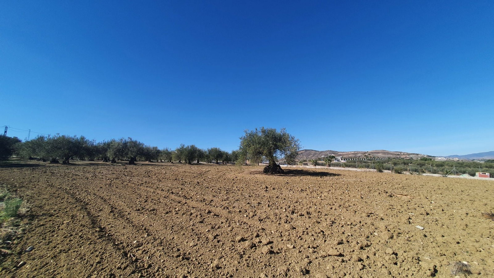Photo 3 of Property in Alhaurin El Grande