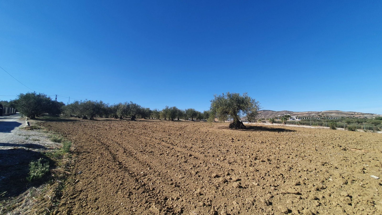 Photo 9 of Property in Alhaurin El Grande