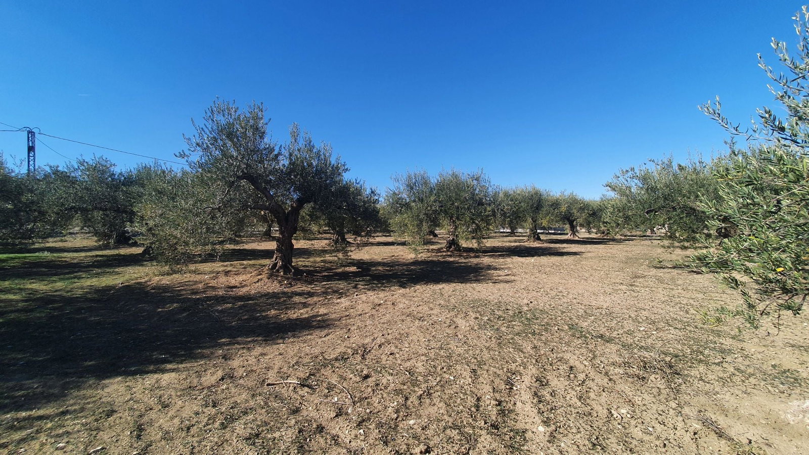 Photo 4 of Property in Alhaurin El Grande