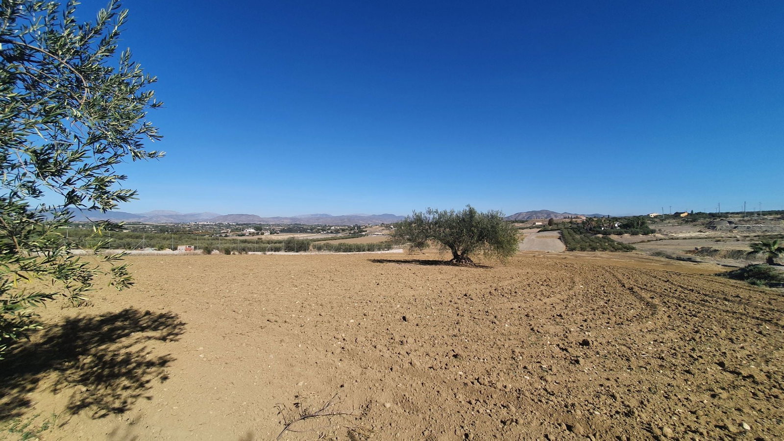 Photo 7 of Property in Alhaurin El Grande