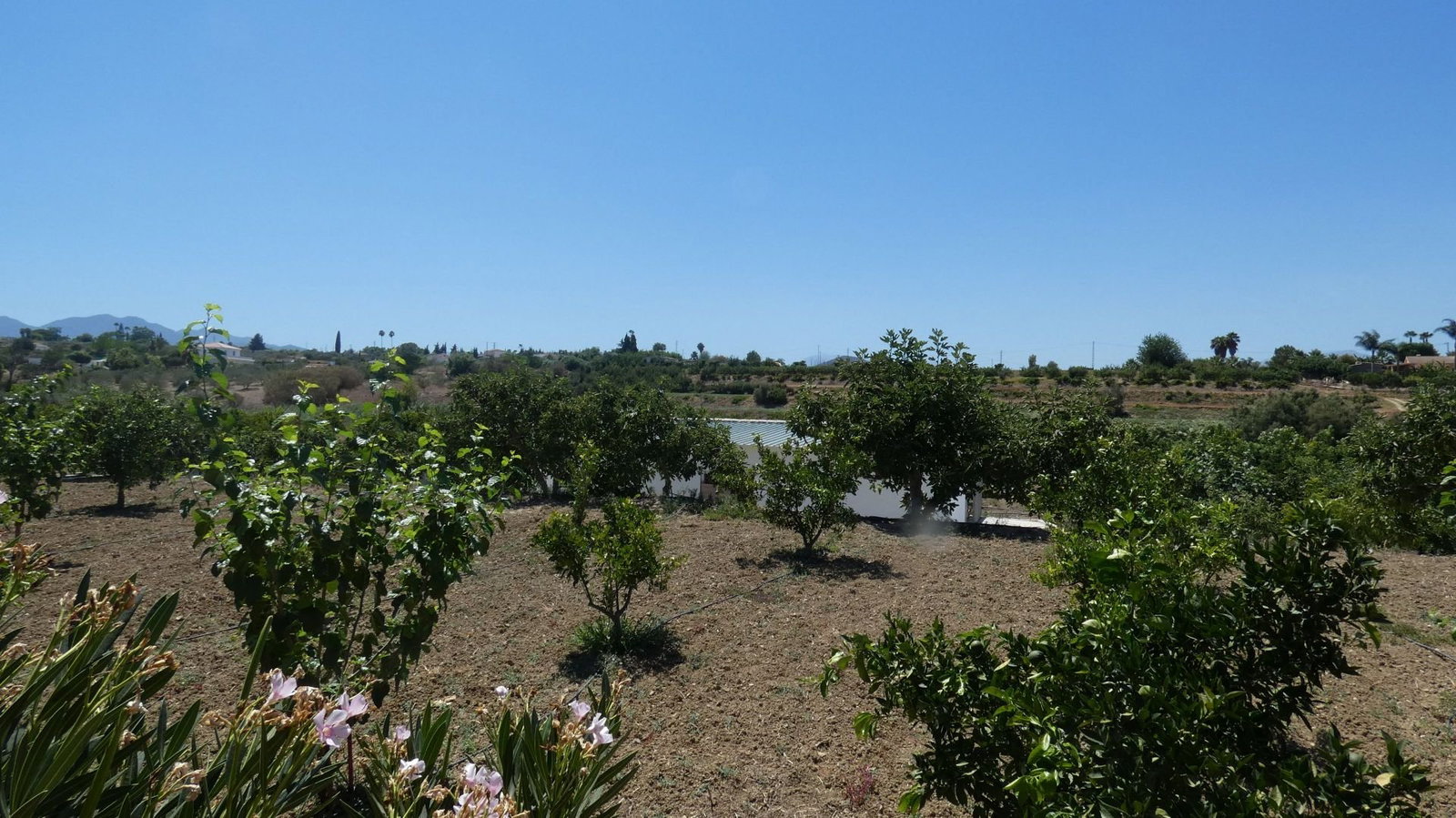 Photo 3 of Property in Alhaurin El Grande