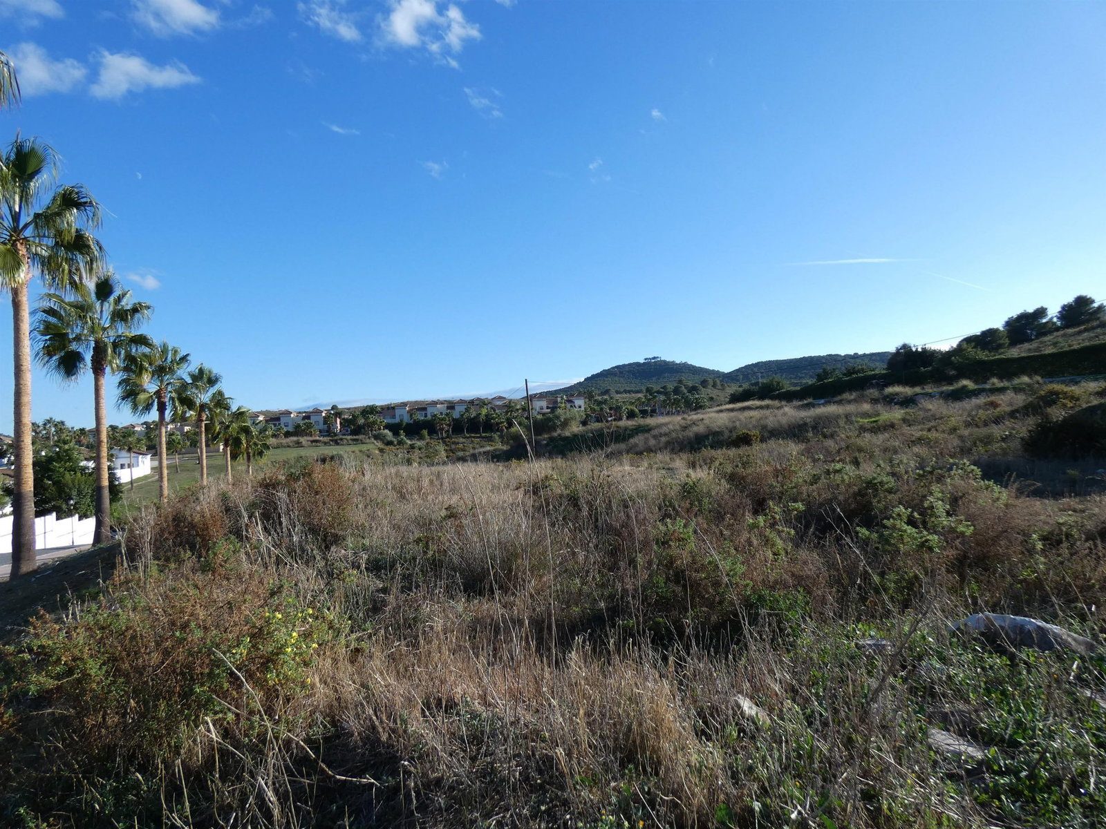 Photo 7 of Property in Coin