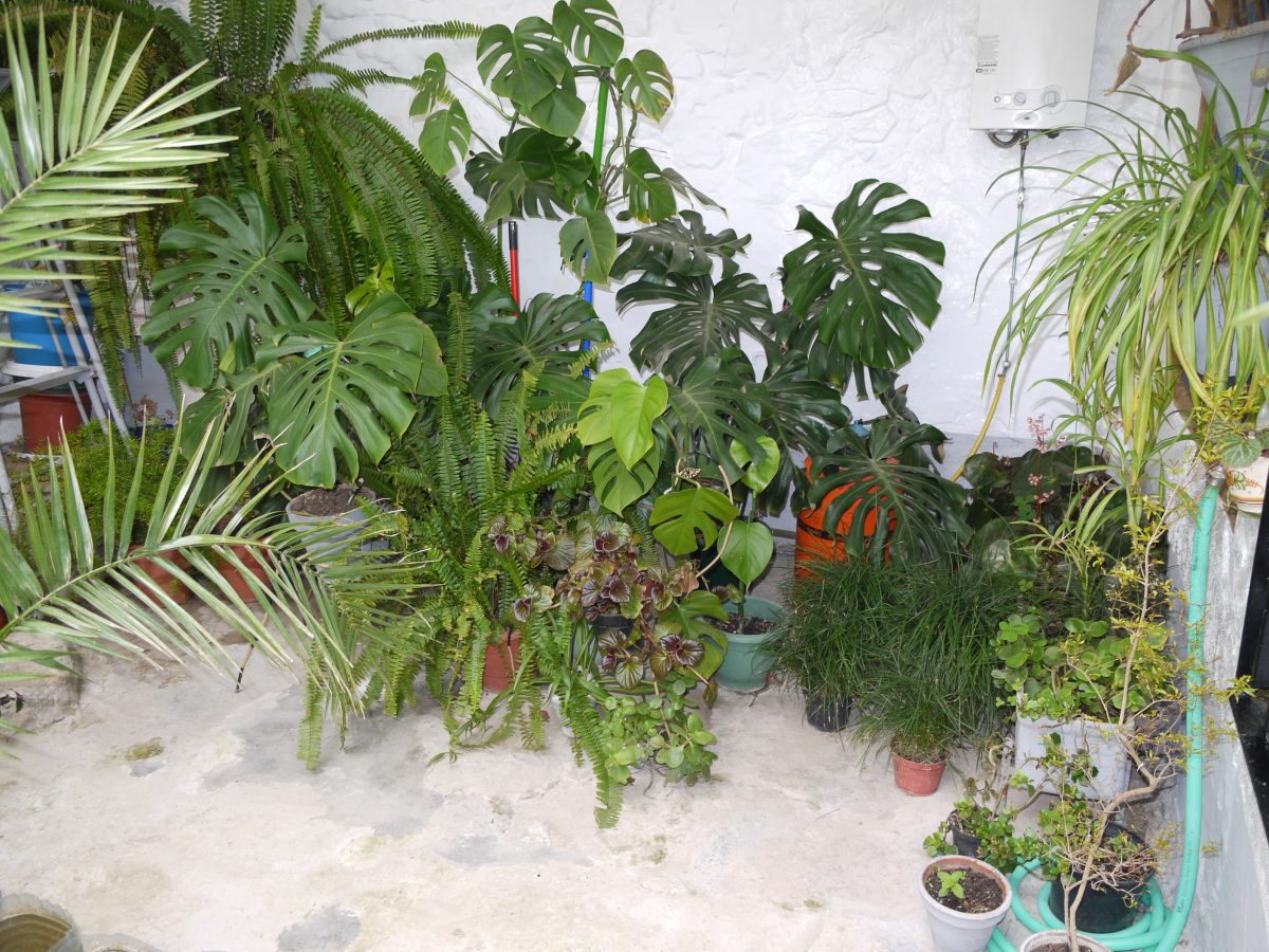 Photo 7 of Property in Olvera