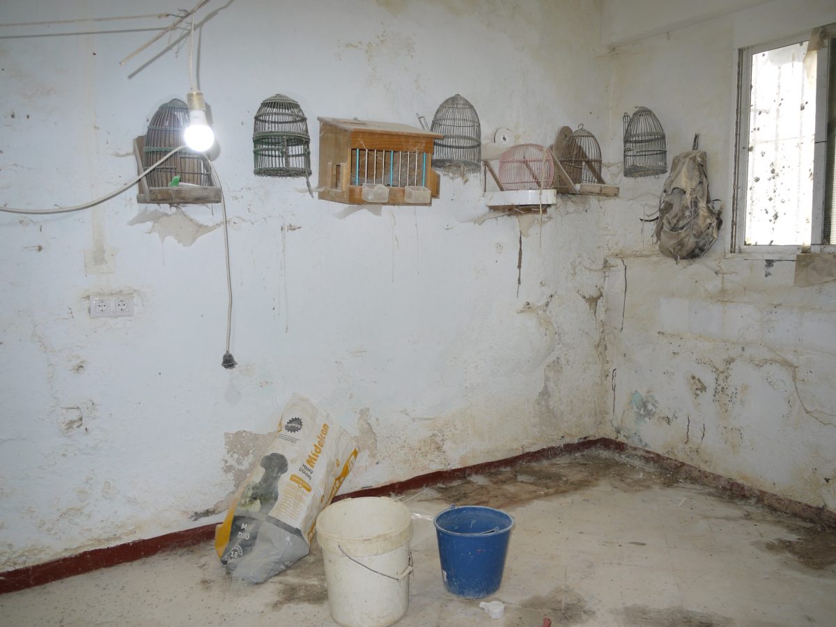 Photo 9 of Property in Olvera