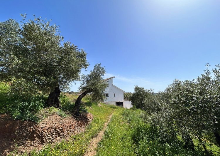 Photo 7 of Property in Montoro