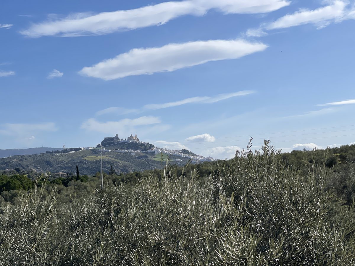 6-bed for sale in Olvera, Provincia de Cádiz, Spain