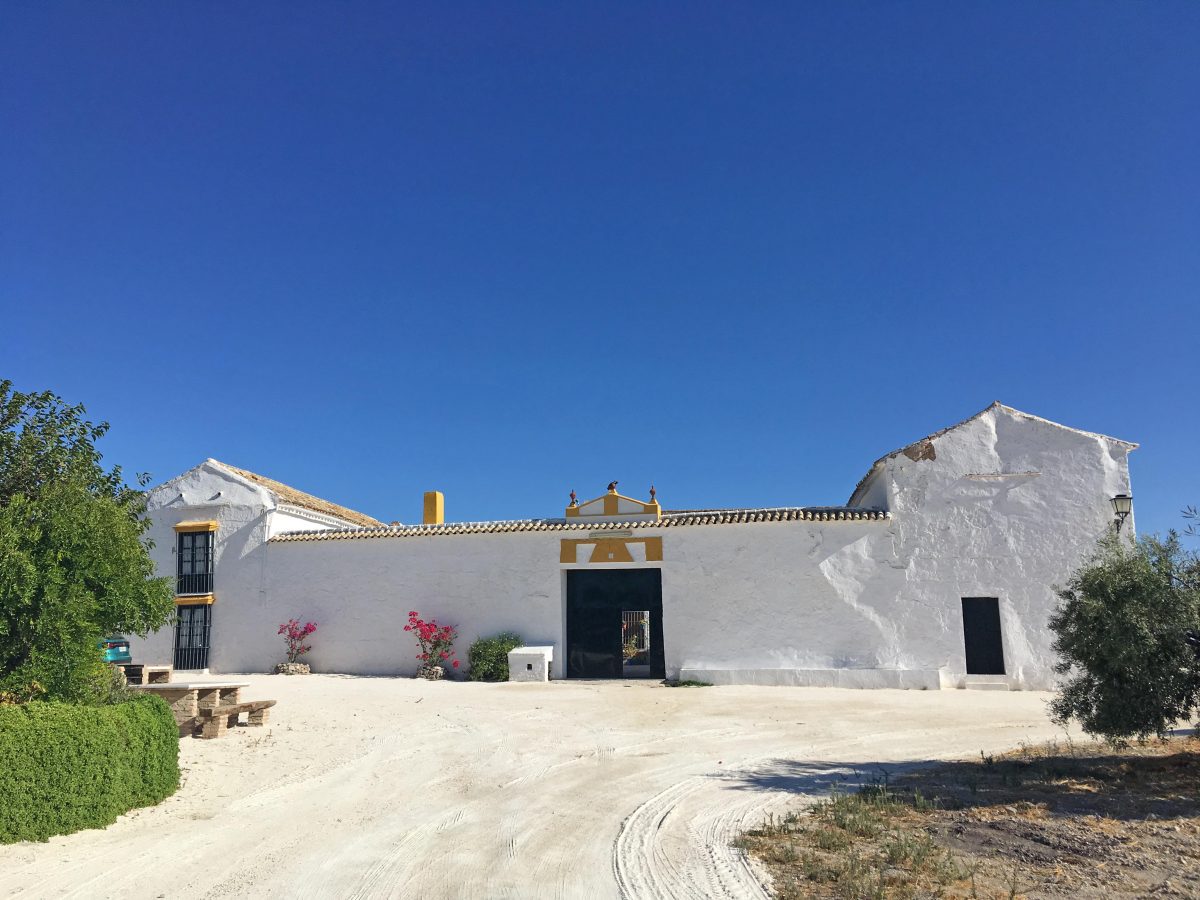 6-bed for sale in Morón de la Frontera, Provincia de Sevilla, Spain