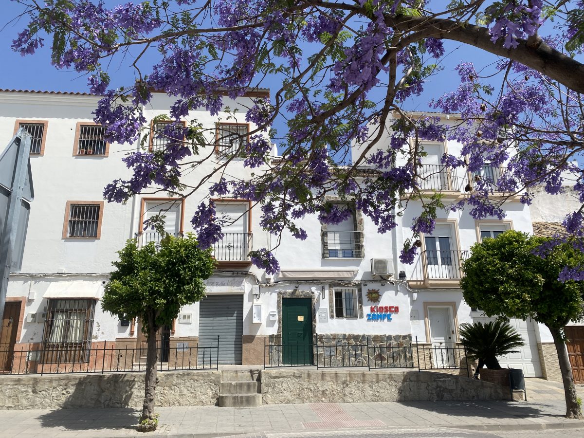 3-bed for sale in Olvera, Provincia de Cádiz, Spain