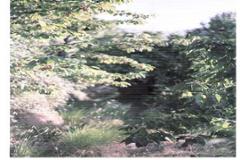 Cap. 1 Finca with mountain and country views