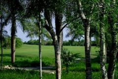 Golf Condominium/Apartment Caribbean SEA