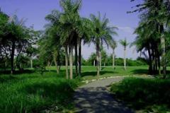 Golf Condominium/Apartment Caribbean SEA