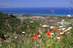 Superb value for money 1 and 2 bedroom Apartments with Views