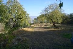 Cap. 6 Finca with mountain and country views