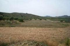Plot - Land in Provincia de Albacete