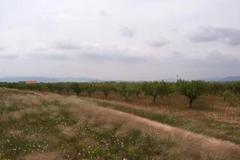 Plot - Land in Provincia de Albacete