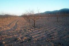 Plot - Land in Alicante