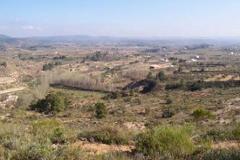 Plot - Land in Província de València