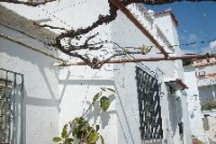 CTP0319-2 BED 2 BATH MODERNISED COASTAL HOUSE