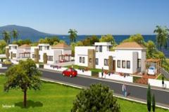 Ideal beachfront properties