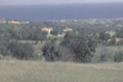 Apartment - Land Cyprus