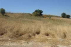 Apartment - Land Cyprus