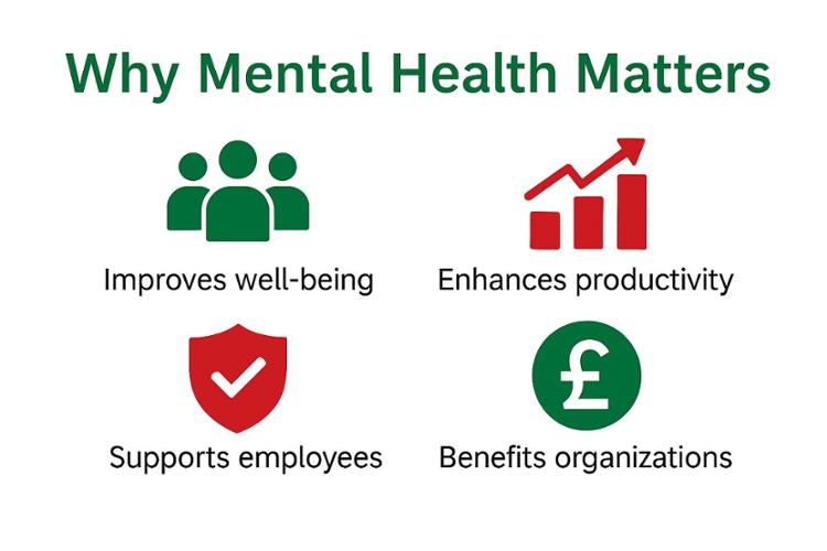 Why Mental Health Matters : product For Sale  UK