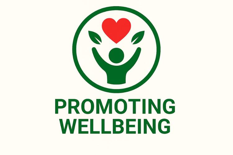 Mental Health - Promoting wellbeing : product For Sale  